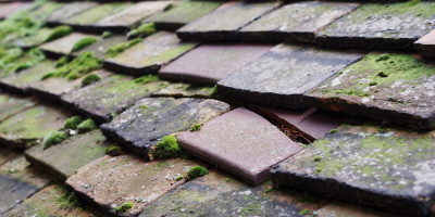 Old Roan roof repair costs